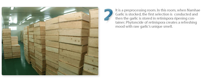 It is a preprocessing room. in this room, when namhae Garlic is stocked, the first selection is conducted and then the garlic is stored in retinispora ripening con-tainer. Phytoncide of retinispora creates a refreshing mood with raw garlic's unique smell.