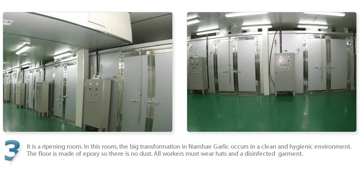 It is a ripening room. In this room, the big transformation in Namhae Garlic occurs in a clean and hygienic environment. 
The floor is made of epoxy so there is no dust. All workers must wear hats and a disinfected gament.