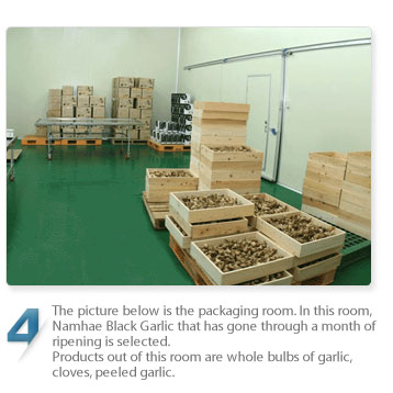 The picture below is the packaging room. in this room, namhae Black Garlic that has gone through a month of ripening is selected.
Products out of this room are whole bulbs of garlic, cloves, peeled garlic.