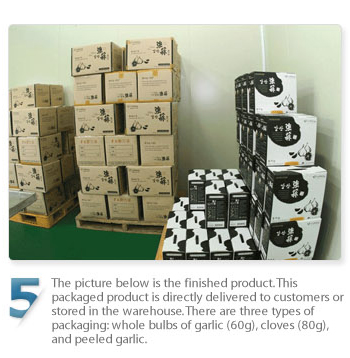The picture below is the finished product. This packaged product is directly delivered to customers or stored in the warehouse. There are three types of packagins:whole 

bulbs of garlic (60g), cloves (80g), and peeled garlic.
