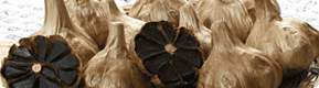 BLACK GARLIC GANGSAN